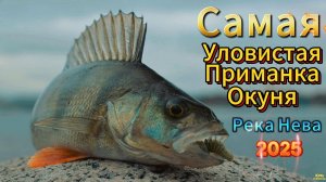 САМАЯ УЛОВИСТАЯ МОЯ ПРИМАНКА НА ОКУНЯ ДЖИГ РИГ ОТВОДНОЙ НА НЕВЕ РЫБАЛКА Осенний Октябрьский Клёв