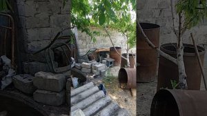 прогулка в домашнем быту