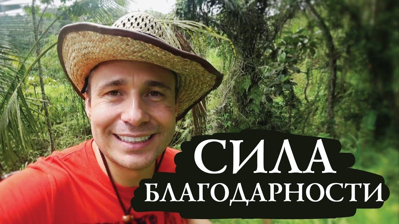 Сила Благодарности / Мой Ритуал / Оскар Хартманн