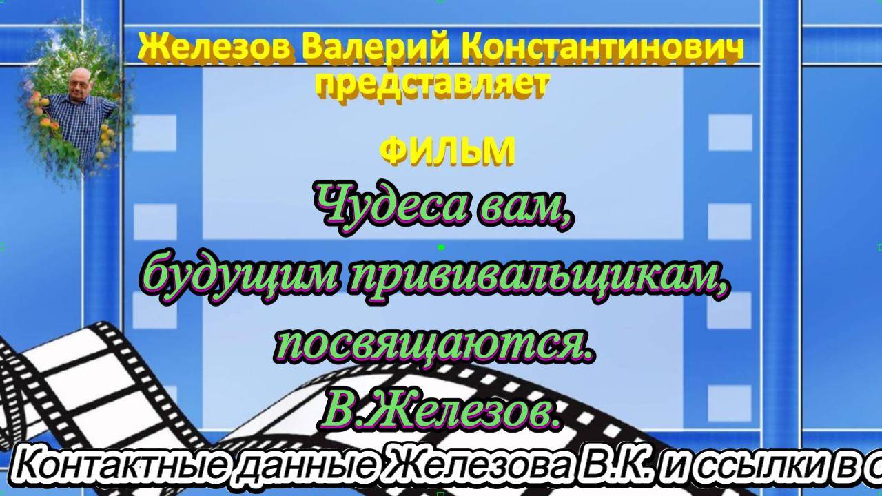 Чудеса вам, будущим прививальщикам, посвящаются. В.Железов. смотреть онлайн