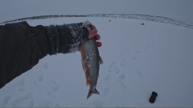 Дальний рукав озера Гремиха. Арктический Голец. смотреть онлайн