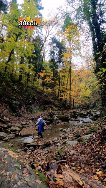 Водная гармония