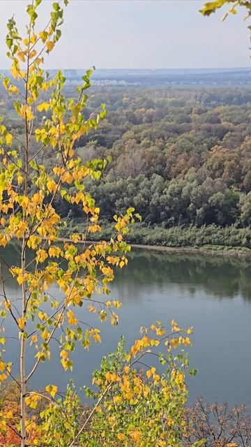 1000308773.mp4 смотреть онлайн