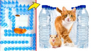 Хомяк против кота: Челлендж с лабиринтом из бутылок с водой