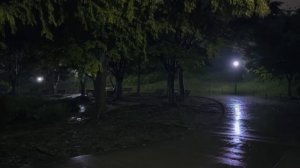 Тишина рассвета и нежный шум дождя для глубокого расслабления и сна 🌧️