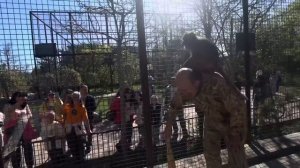 Наши малыши устроили ТАКОЕ ШОУ, что смеялись все посетители вокруг вольера)))