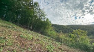 СТ Заречье Туапсинский район