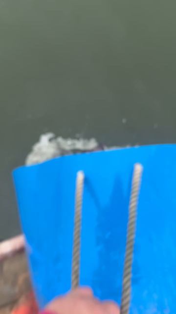 Запуск форели 50 кг смотреть онлайн