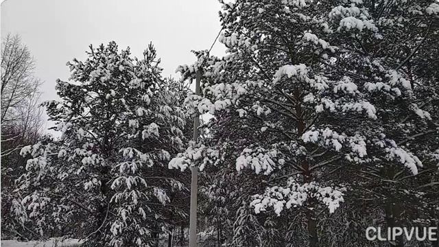 в старой деревушке в маленькой избушке