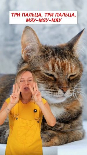 Малыш не говорит? Попробуйте эту игру!