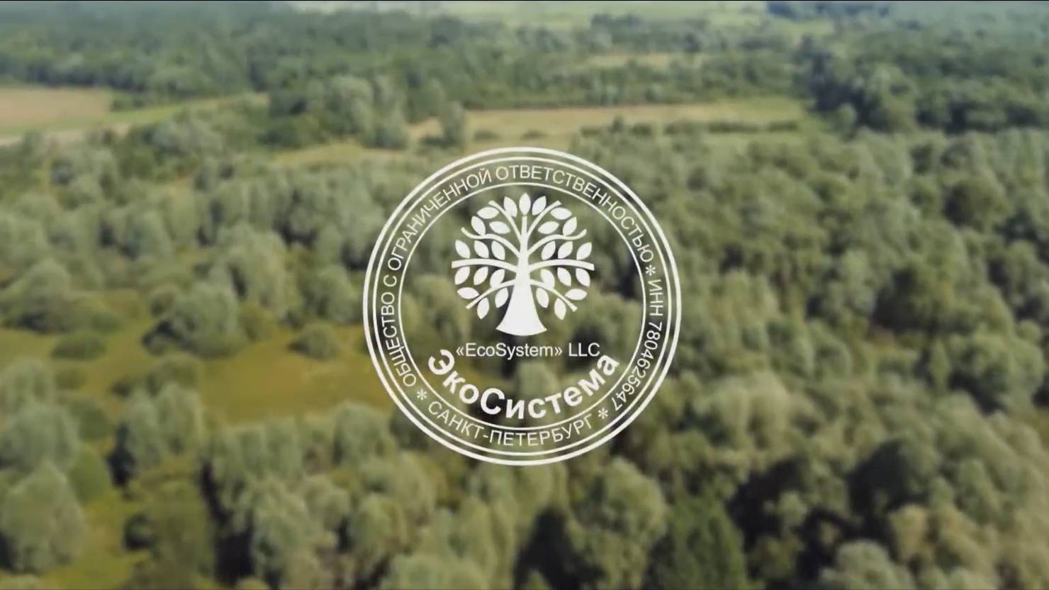 EcoSystem - производитель угля