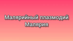 Малярийный плазмодий