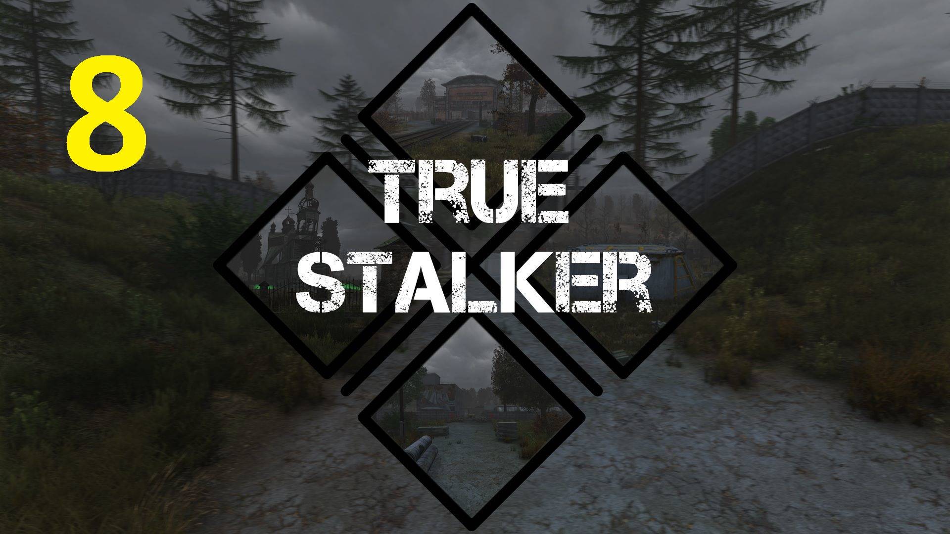 Прохождение S.T.A.L.K.E.R True Stalker. Часть 8 смотреть онлайн