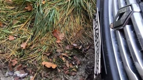 Авто лампы Philips h7 Vision Plus 60%