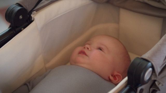 Коляска Nuna MIXX next смотреть онлайн