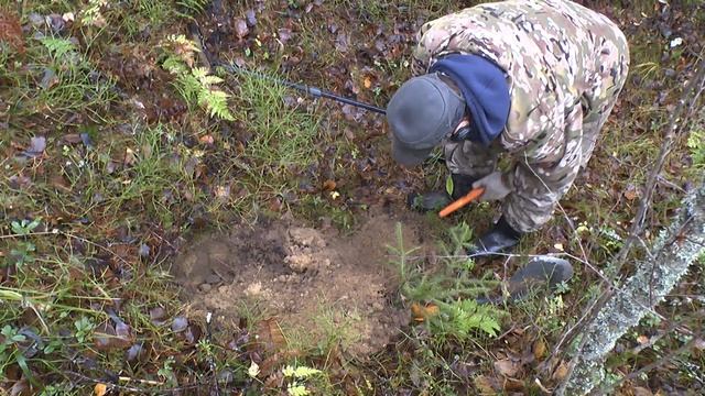 Фильм 64. Партизанский лес. Часть 4