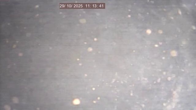 Вор обл Привольный фильтр в потай