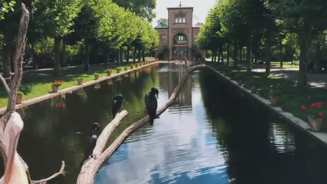 Зоопарк вильгельма в штутгарте / Wilhelma zoologisch-botanischer garten stuttgart смотреть онлайн