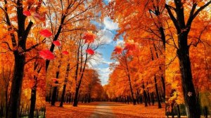 Все случилось так нежданно