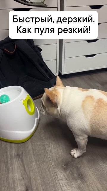 #108 || МЕМЫ || ПРИКОЛЫ || ЮМОР смотреть онлайн