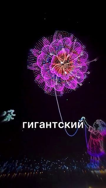 16 тысяч дронов запустили в Китае смотреть онлайн