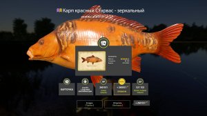 РЕДЧАЙШАЯ РАЗДАЧА ЦЕННЫХ ТРОФОВ НА ЯНТАРКЕ И КУЧА ФАРМОВ НА ВОДОЕМАХ В РУССКОЙ РЫБАЛКЕ 4 РР4