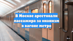 В Москве арестовали пассажира за онанизм в вагоне метро