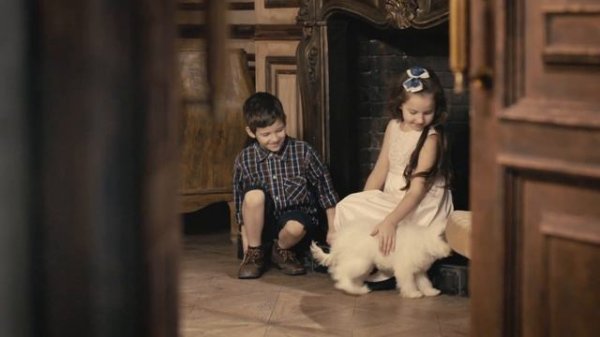 СОБАКИ В КОСМОСЕ. Документальный фильм. Исторический Проект