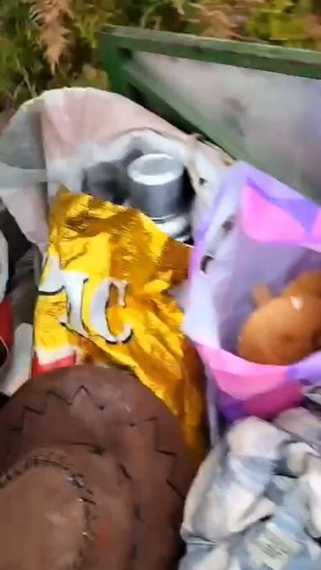 Вездеход помощник на гусеницах Крутец! Грибы собрали, едем домой! #крутец #мотоблок #гусеницы смотреть онлайн