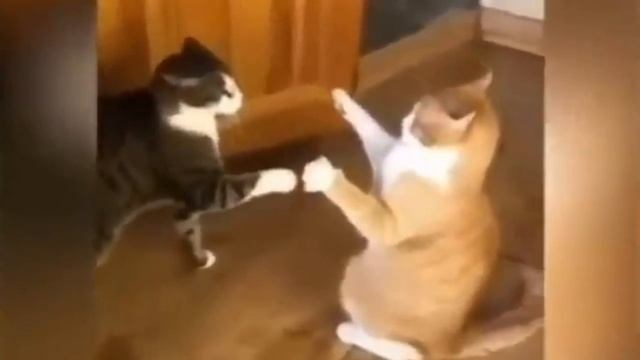 "..Семь раз упадёт праведник, и встанет; а нечестивые впадут в погибель.. " / Притчи 24:16 / Библия смотреть онлайн