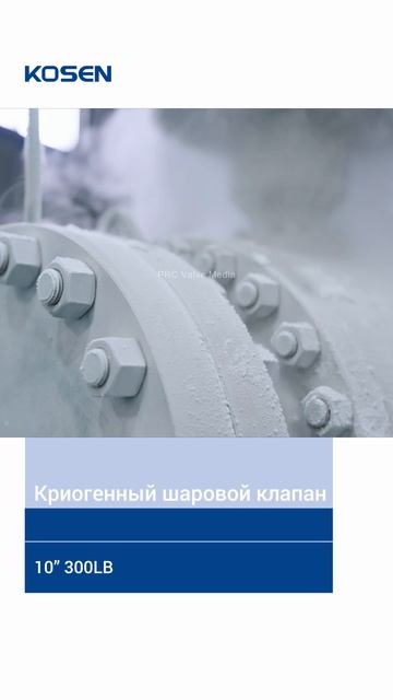 10” 300LB Криогенный шаровой клапан-KOSEN