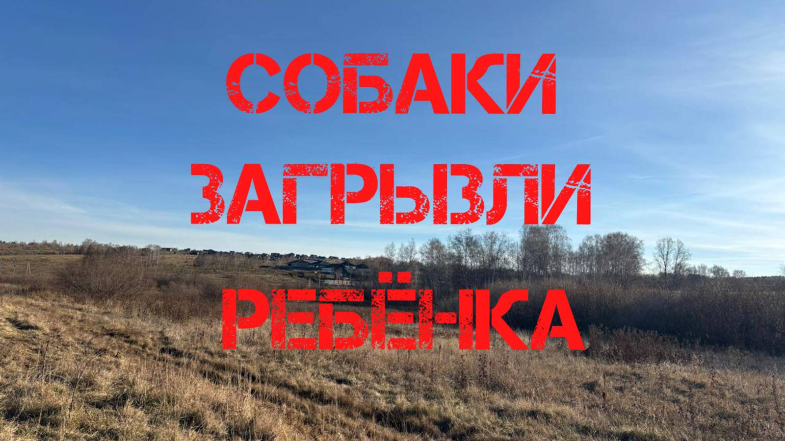 Собаки загрызли 10 - летнего мальчика в Красноярском крае смотреть онлайн