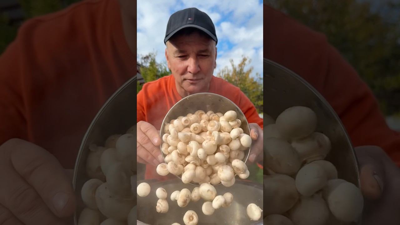 Эти ГРИБОЧКИ улетают БЫСТРЕЕ шашлыка – маринованные шампиньоны смотреть онлайн