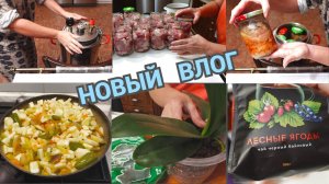 Закупили продукты/Мой рецепт тушенки, тонкости/Пересаживаю орхидею без стресса