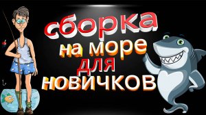 РР4/начальня сборка на море и какое филе резать?