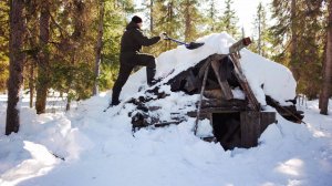 ЗАБРОШЕННАЯ ЛЕСНАЯ ИЗБА в глуши. НАШЕЛ ВЕЩИ ВРЕМЕН СССР.