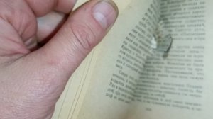 Hatsan Alpha - можно ли взять на охоту эту дешёвую воздушку.