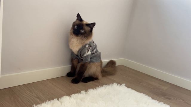 Антуан Воланд Деметра