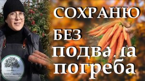 Как сохранить свёклу и морковь сочной и свежей до весны