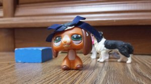 лпс популяр эпизод 13