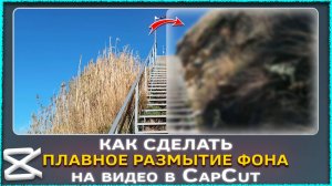 Как сделать плавное размытие фона на видео в CapCut