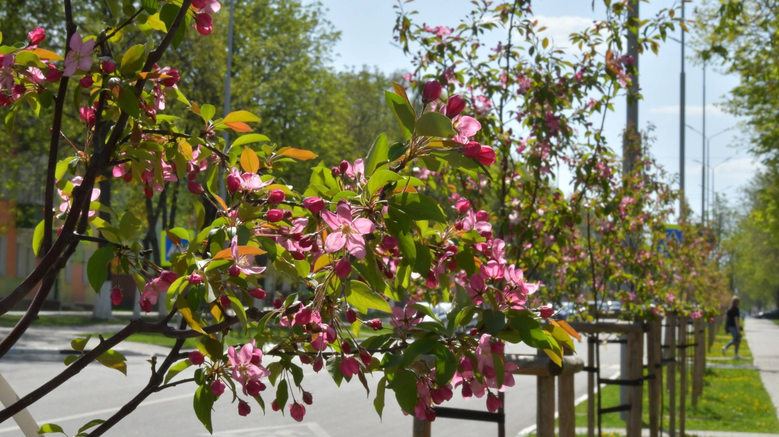 Губкин - город мечты!