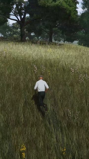 FS25 Dancer смотреть онлайн