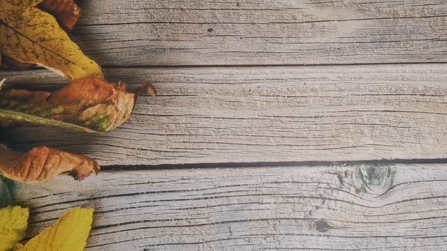 Косметичка октября. Часть 2 смотреть онлайн