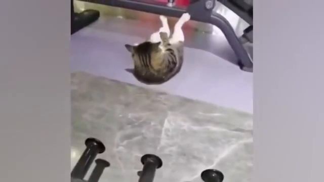 "..Он не бессилен для вас, но силён в вас.." / 2-е Коринф. 13:3 / Библия смотреть онлайн