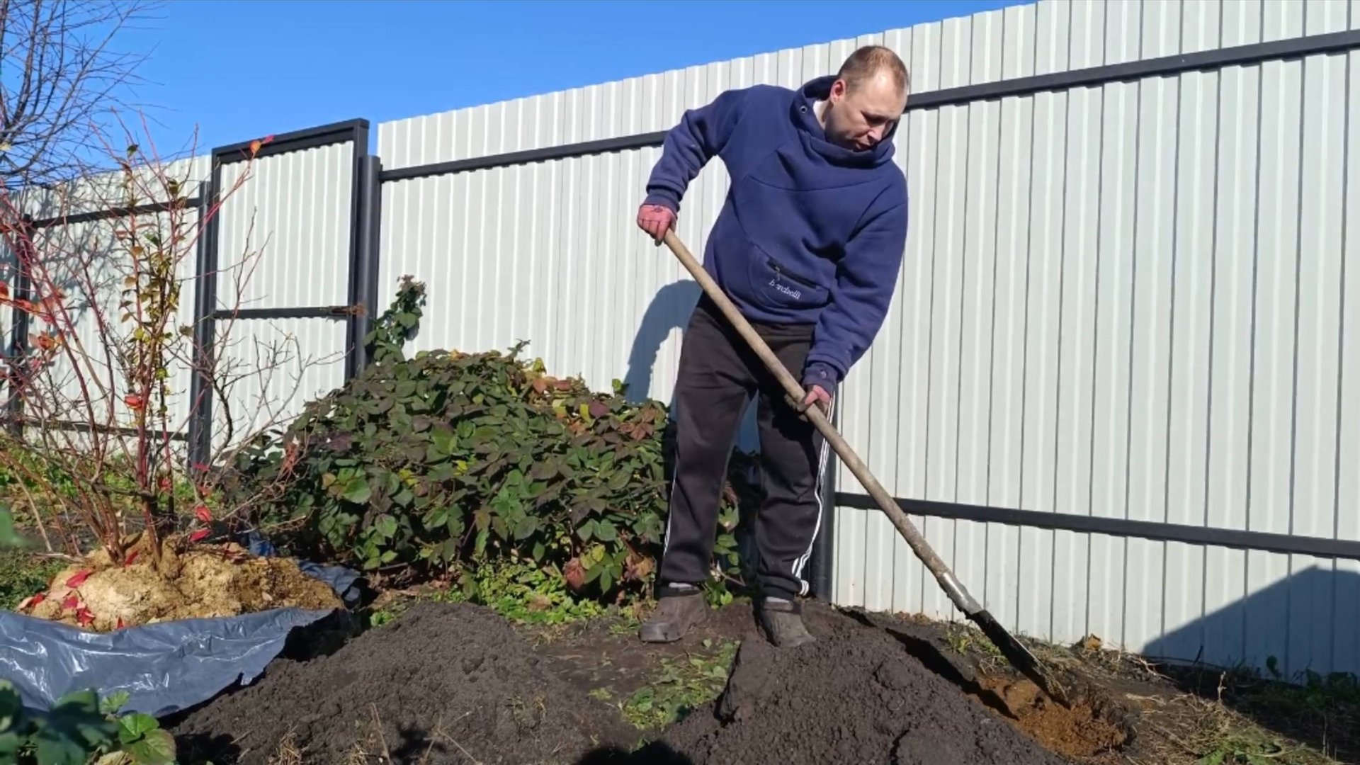 ВЕРНУЛАСЬ В РОССИЮ/САЖАЕМ ГОЛУБИКУ/ВЫБИРАЕМ ДИВАН/ПРАВДА ОБО ВСЁМ! смотреть онлайн