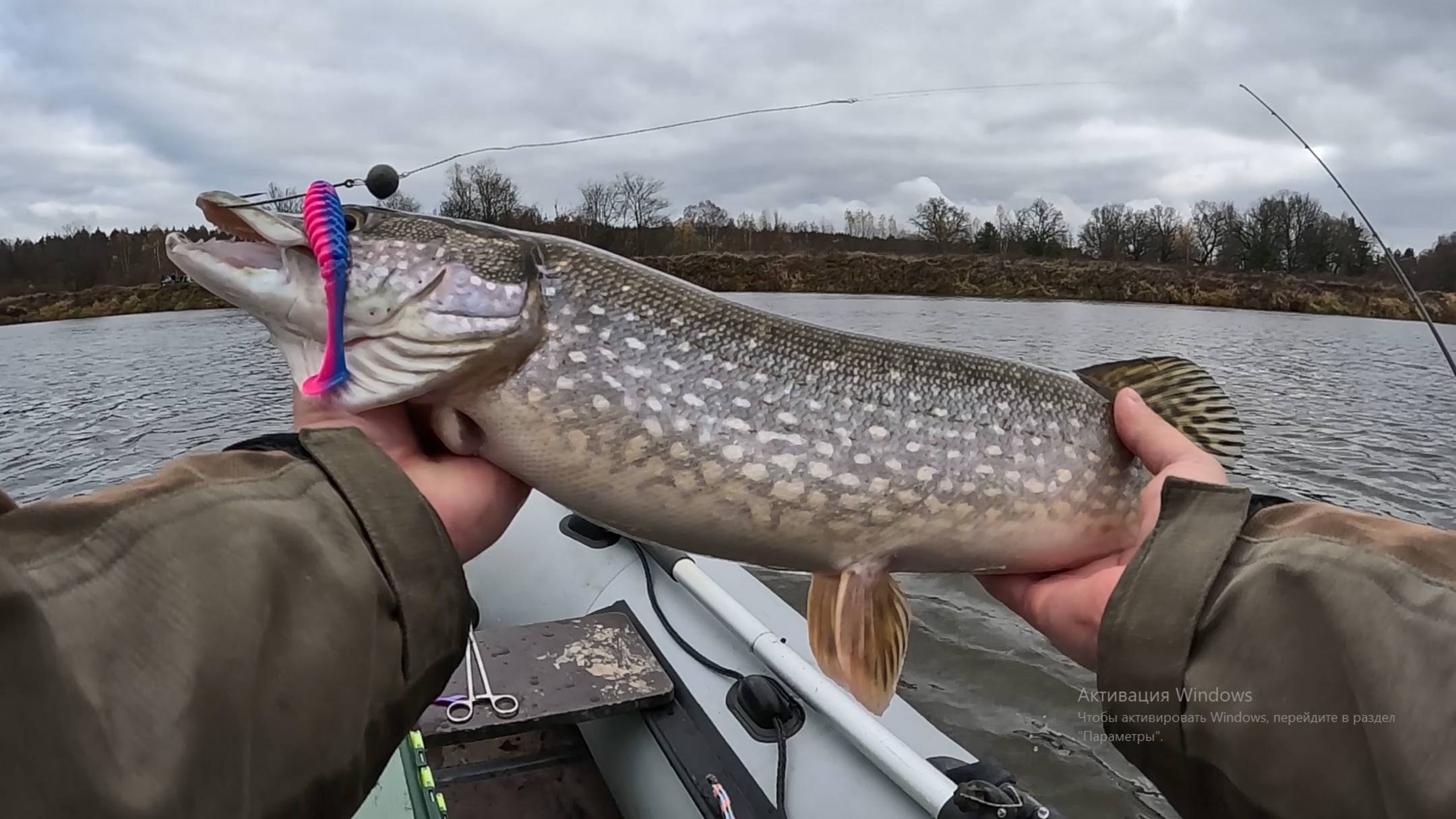 ЩУКА НА КАЖДОМ ЗАБРОСЕ. Рыбалка на спиннинг в октябре смотреть онлайн