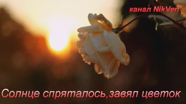 Ветка сорвана смотреть онлайн