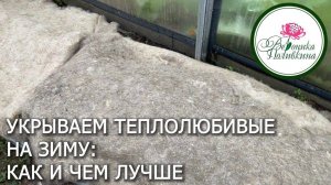 ЧЕМ И КАК УКРЫВАТЬ ТЕПЛОЛЮБИВЫЕ РАСТЕНИЯ НА ЗИМУ