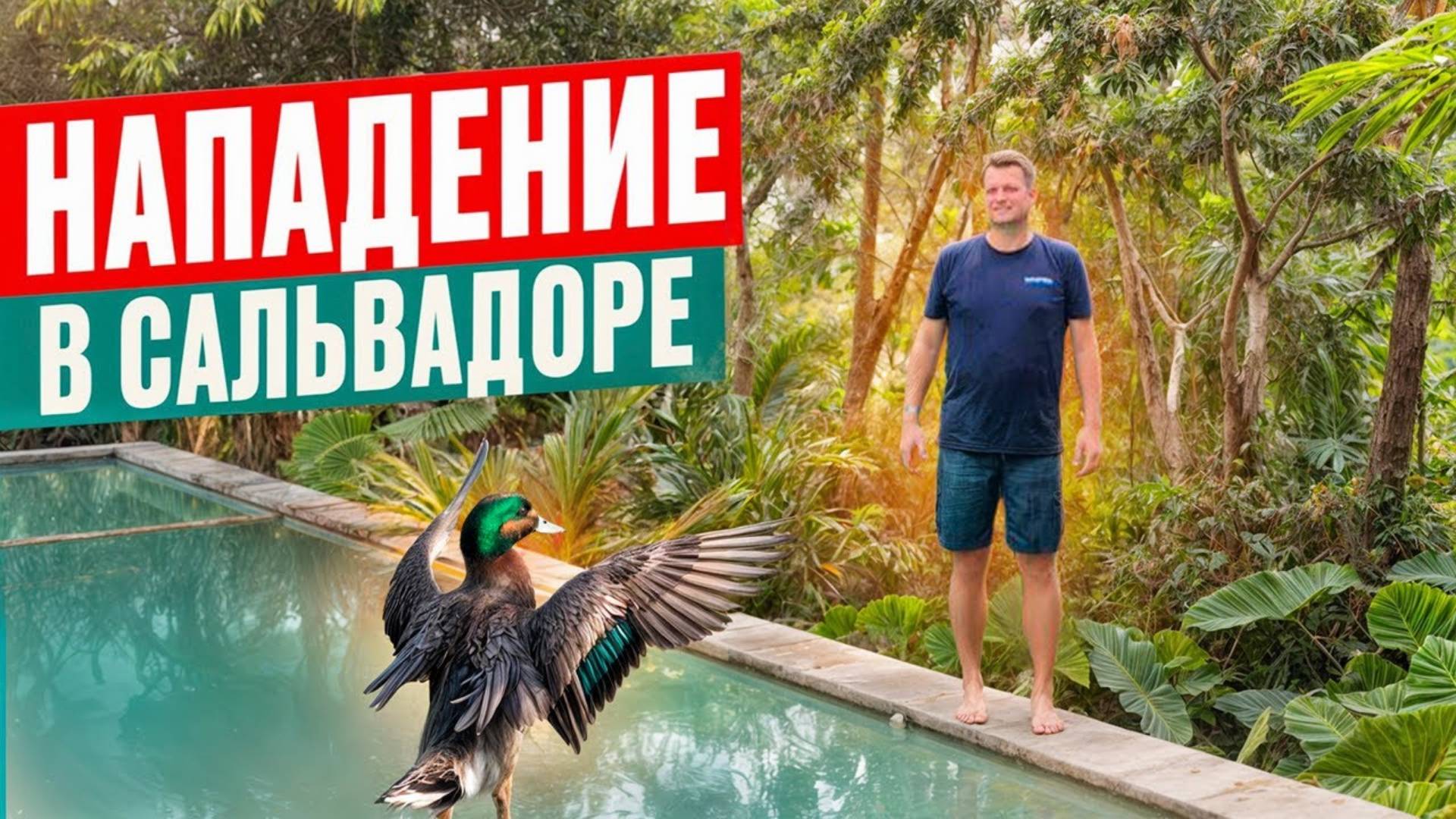 Опасный Сальвадор. НАПАДЕНИЕ В ЦЕНТРАЛЬНОЙ АМЕРИКЕ! СЕРВИС ПРОСТО КОШМАР!